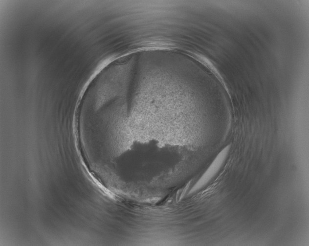 X0000056381243200509091707