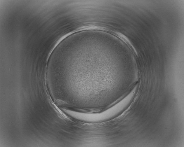 X0000056381244200509091707