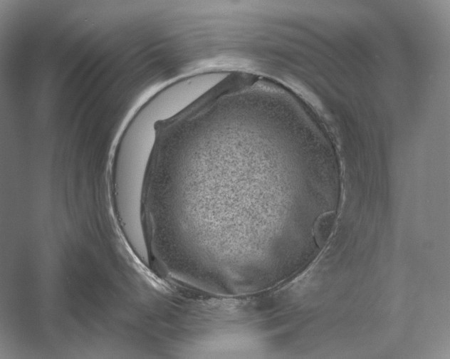 X0000056381248200509091707