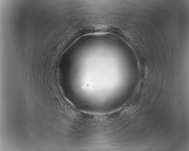 X0000056381249200509091706