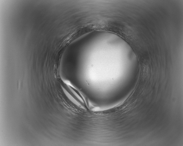 X0000056381250200509091706