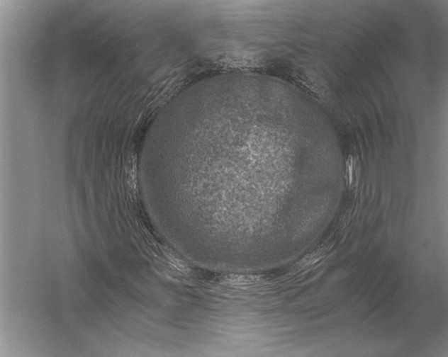 X0000056381251200509091706