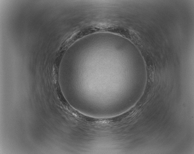 X0000056381253200509091706