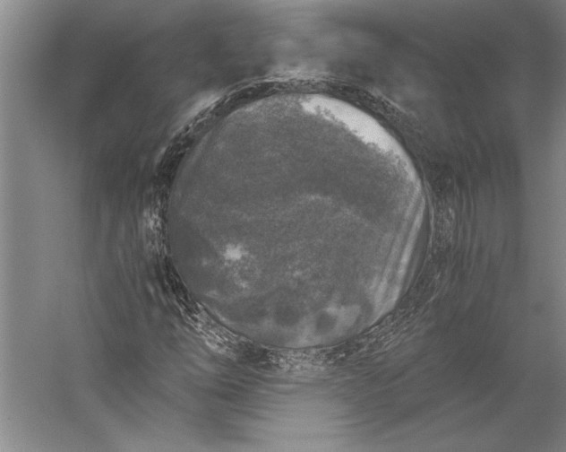 X0000056381254200509091706