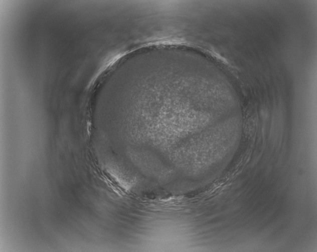 X0000056381255200509091706