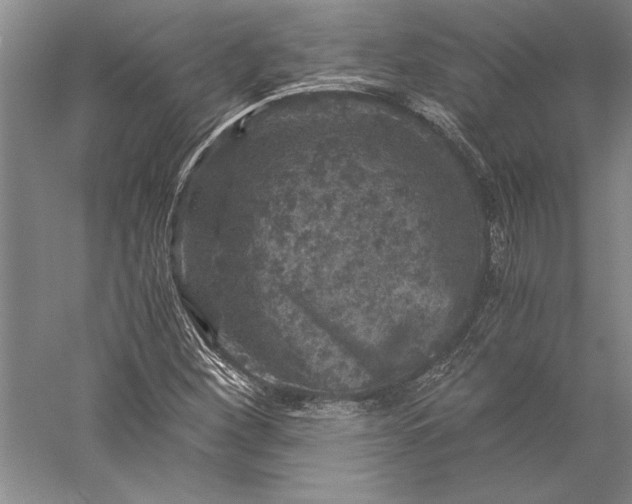 X0000056381260200509091706