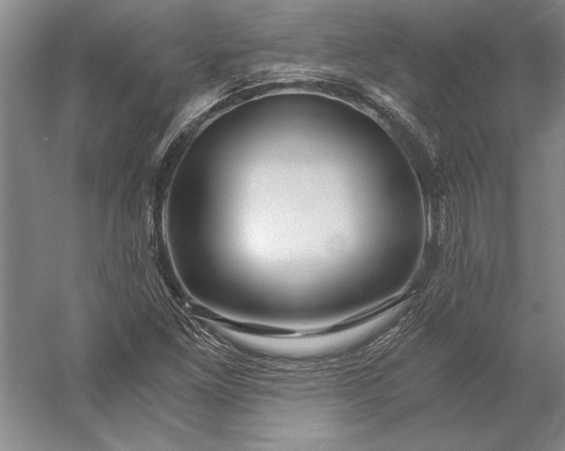 X0000056381261200509091706