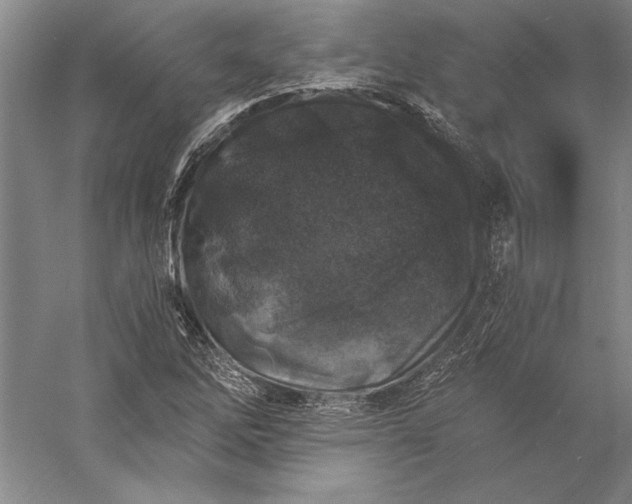 X0000056381262200509091706