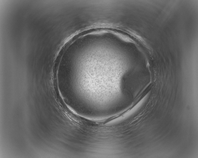 X0000056381264200509091706