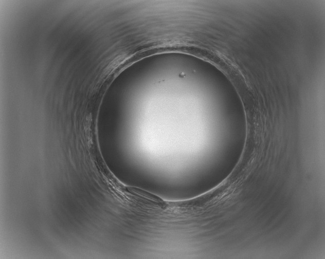 X0000056381265200509091706