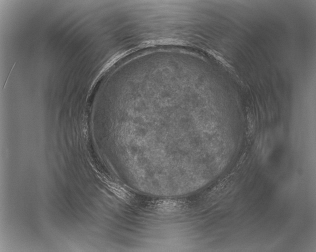 X0000056381266200509091706