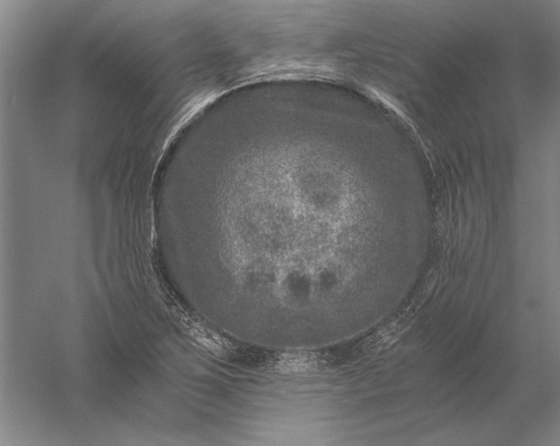 X0000056381267200509091706