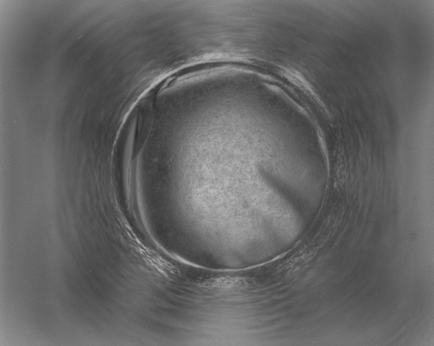 X0000056381268200509091706