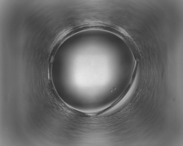 X0000056381269200509091705