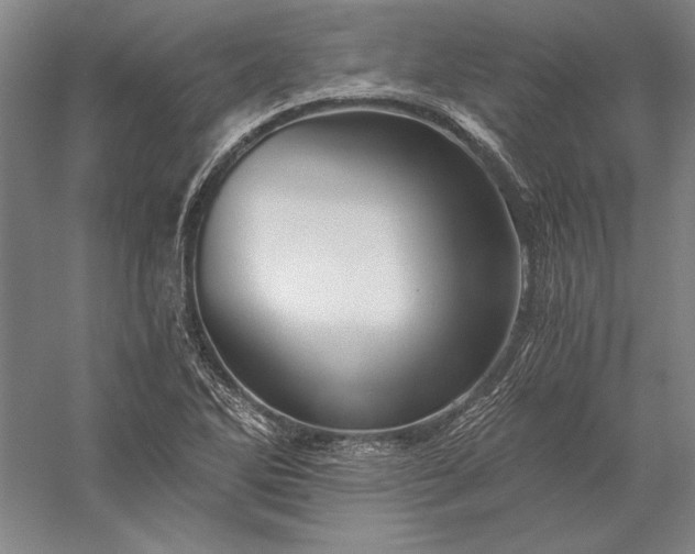 X0000056381270200509091705