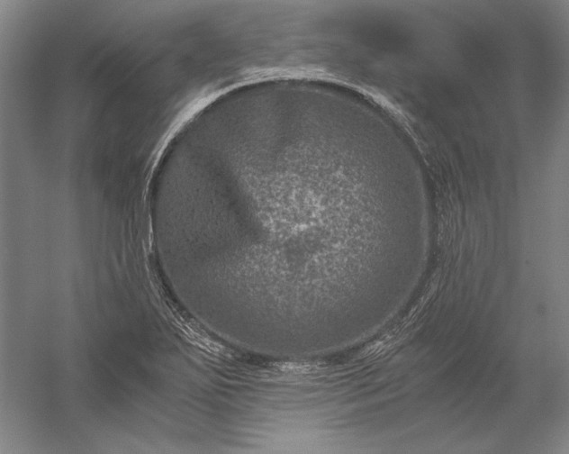 X0000056381271200509091705