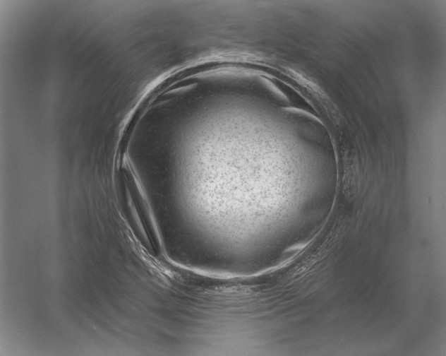 X0000056381272200509091705