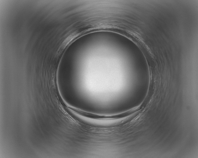 X0000056381273200509091705