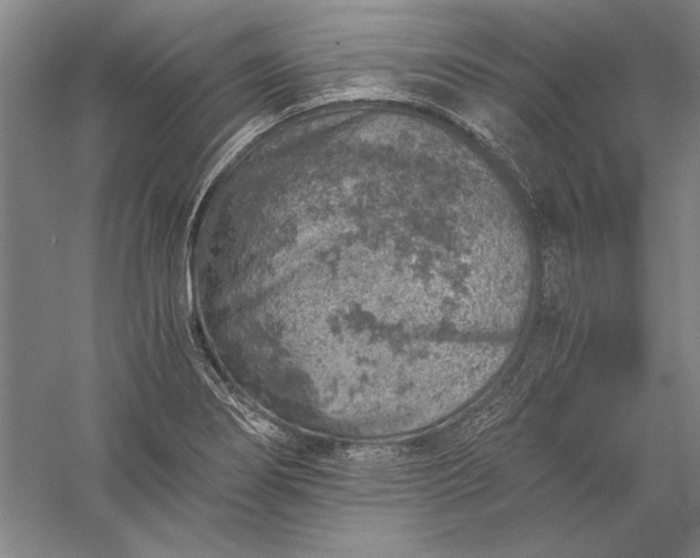 X0000056381274200509091705