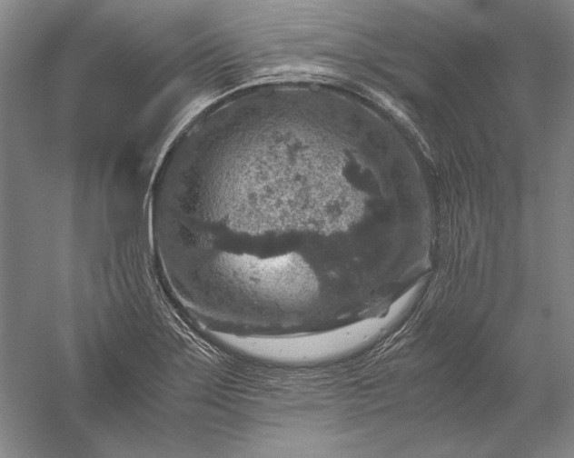 X0000056381275200509091705