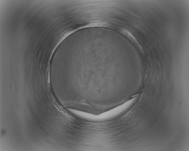 X0000056381276200509091705