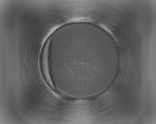 X0000056381277200509091705