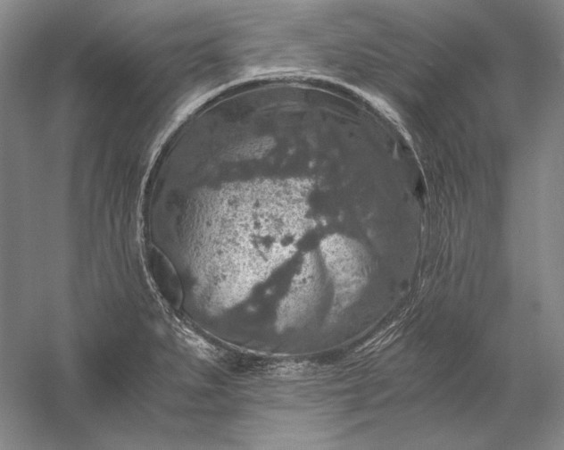 X0000056381279200509091705