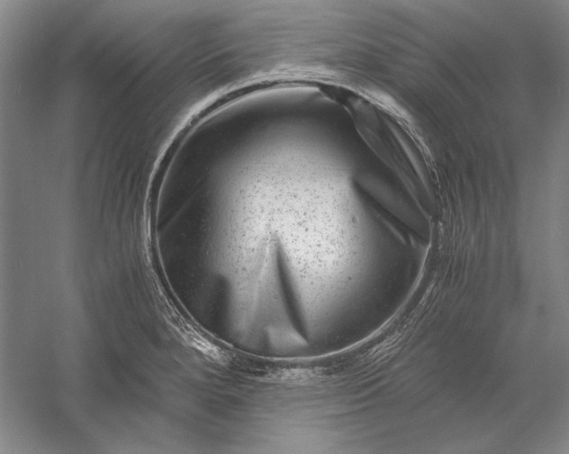 X0000056381280200509091705