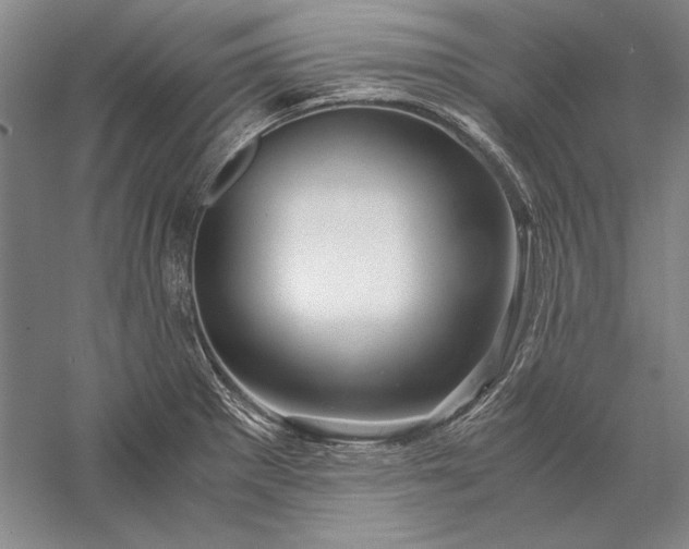 X0000056381281200509091705