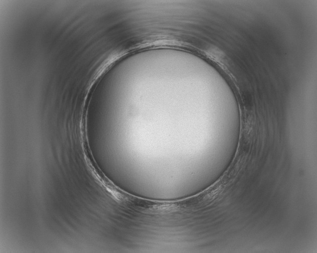 X0000056381282200509091705