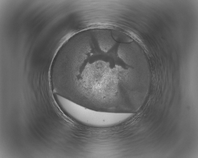 X0000056381283200509091705