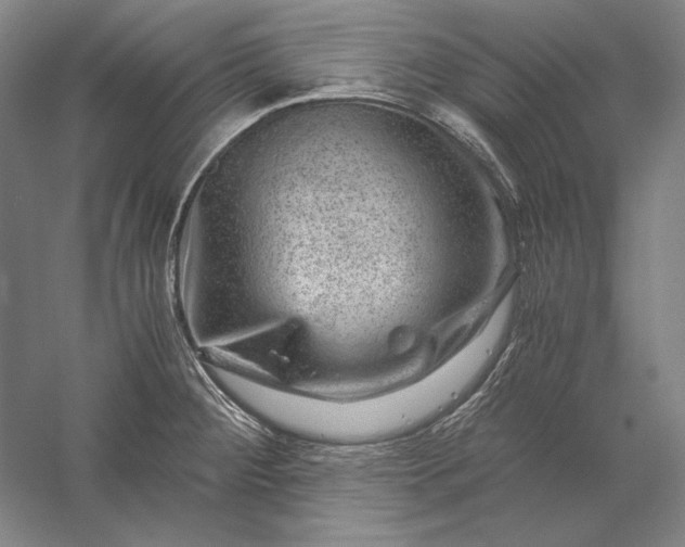 X0000056381284200509091705