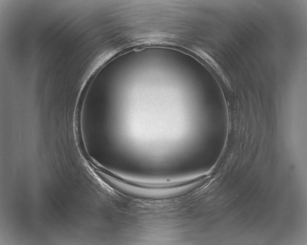 X0000056381285200509091705