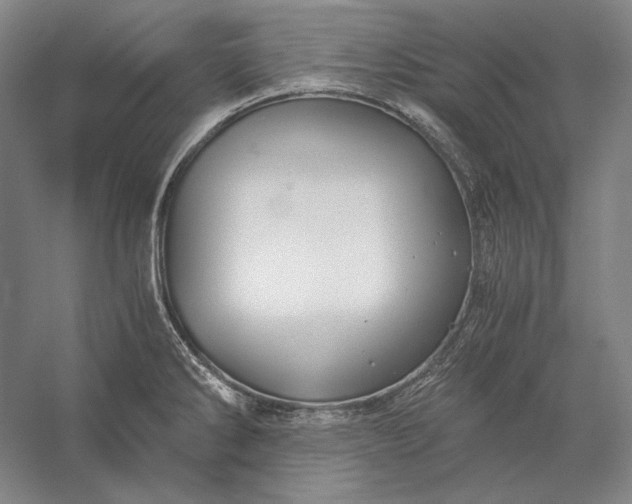 X0000056381286200509091705