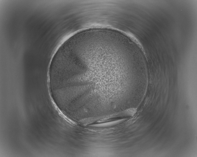 X0000056381287200509091705