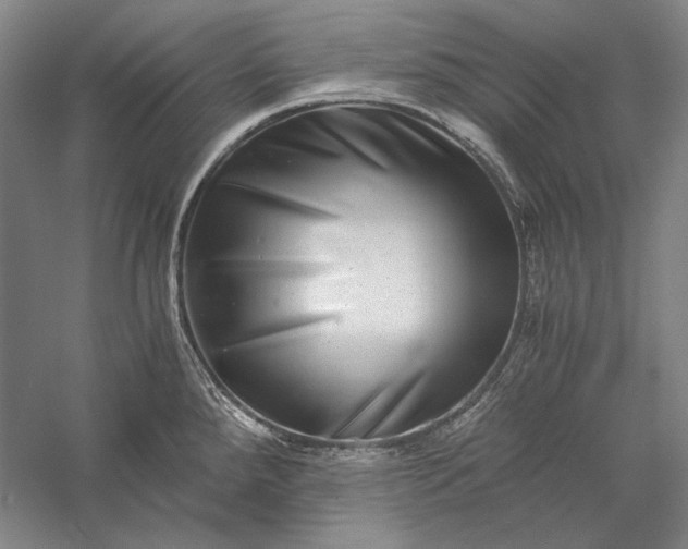 X0000056381288200509091705