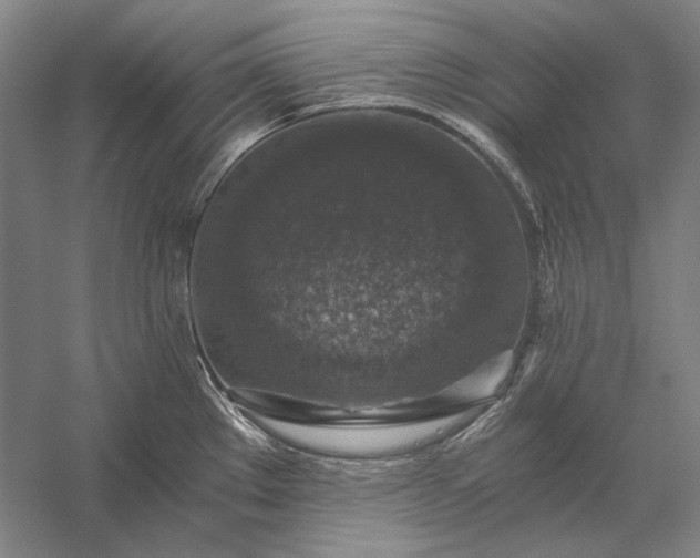 X0000056381289200509091705