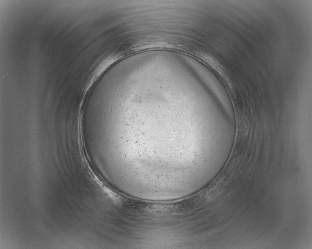 X0000056381290200509091705