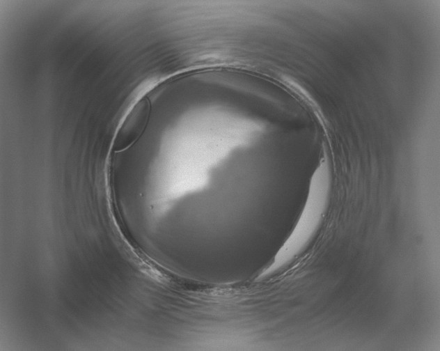 X0000056381291200509091705