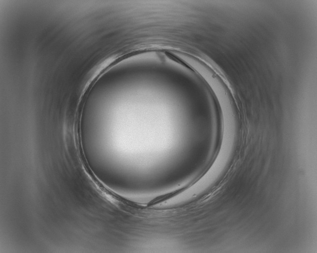 X0000056381293200509091705