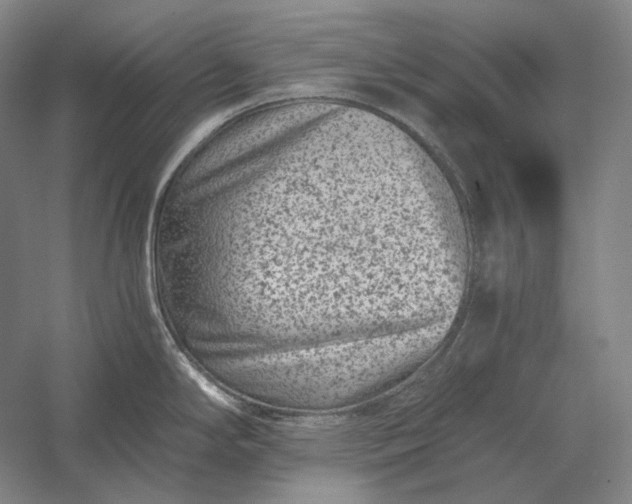 X0000056381294200509091705