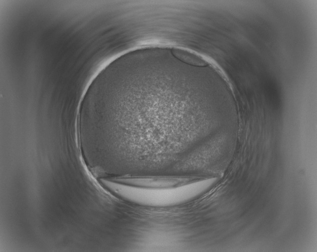 X0000056381295200509091705