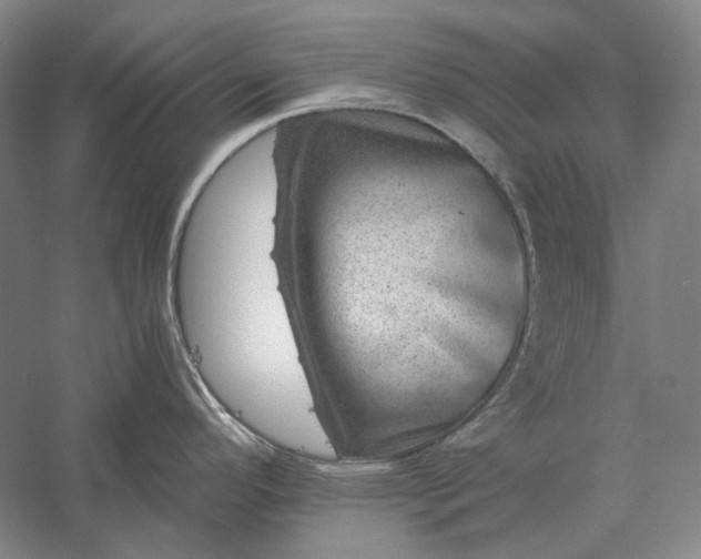 X0000056381296200509091705