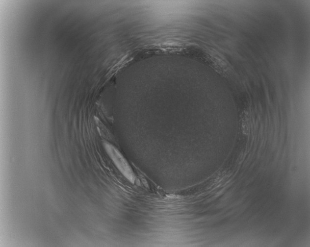 X0000056381298200509091704