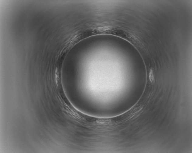 X0000056381299200509091704