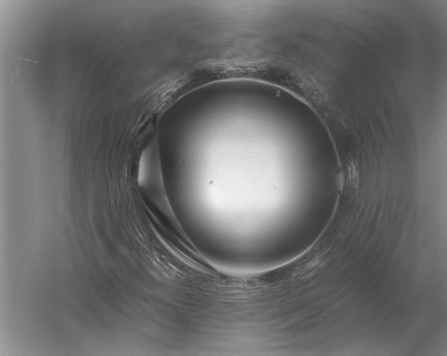 X0000056381300200509091704