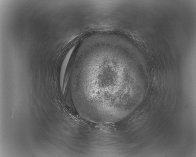 X0000056381301200509091704