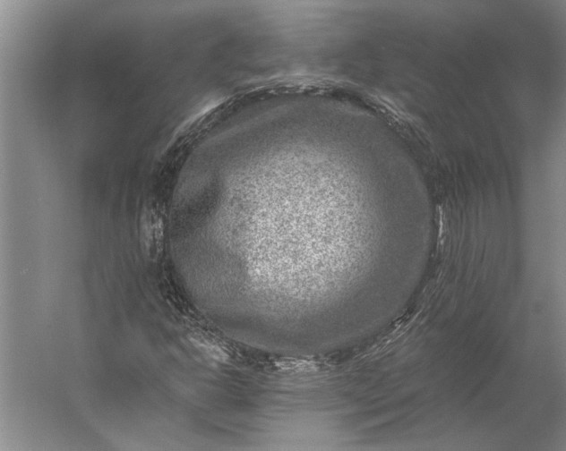 X0000056381302200509091704