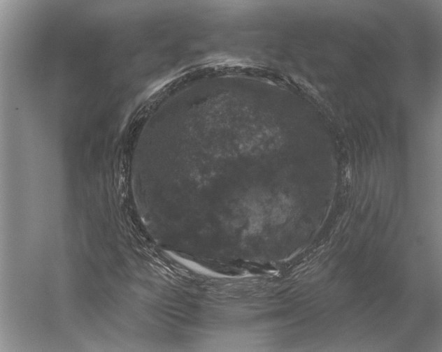 X0000056381303200509091704