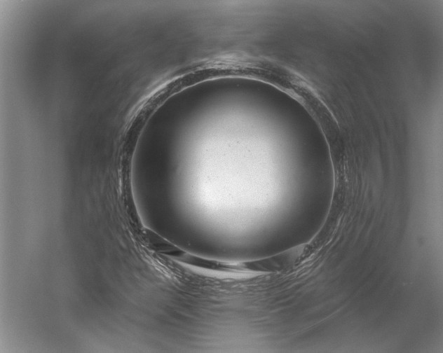 X0000056381304200509091704